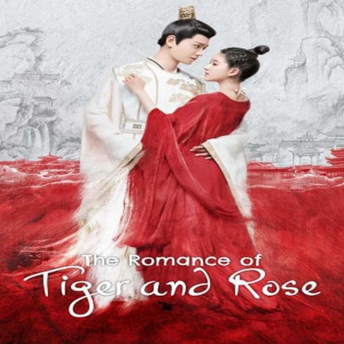 The Romance of Tiger and Rose 2020 / رومانسية النمر والزهرة تقرير + حلقات مترجمة