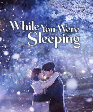 While You Were Sleeping / ‏بينما كنت نائماً تقرير + حلقات مترجمة