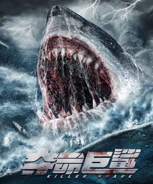 Killer Shark / الفيلم الصينى القرش القاتل مترجم